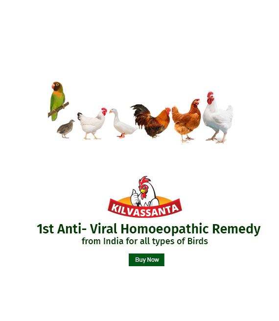 1st Anti-Viral Homoeopathic Remedy | Curewell Homoeo Pharmacy