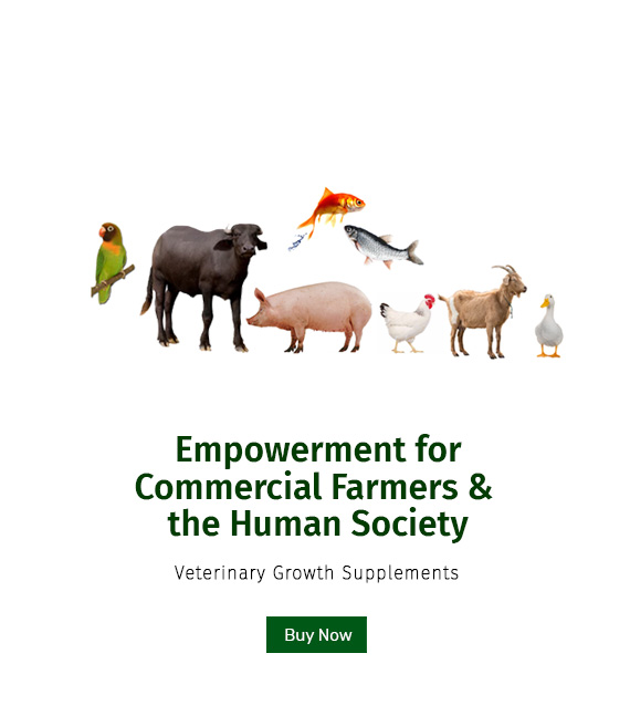 Empowerment for Commercial Farmers | Curewell Homoeo Pharmacy